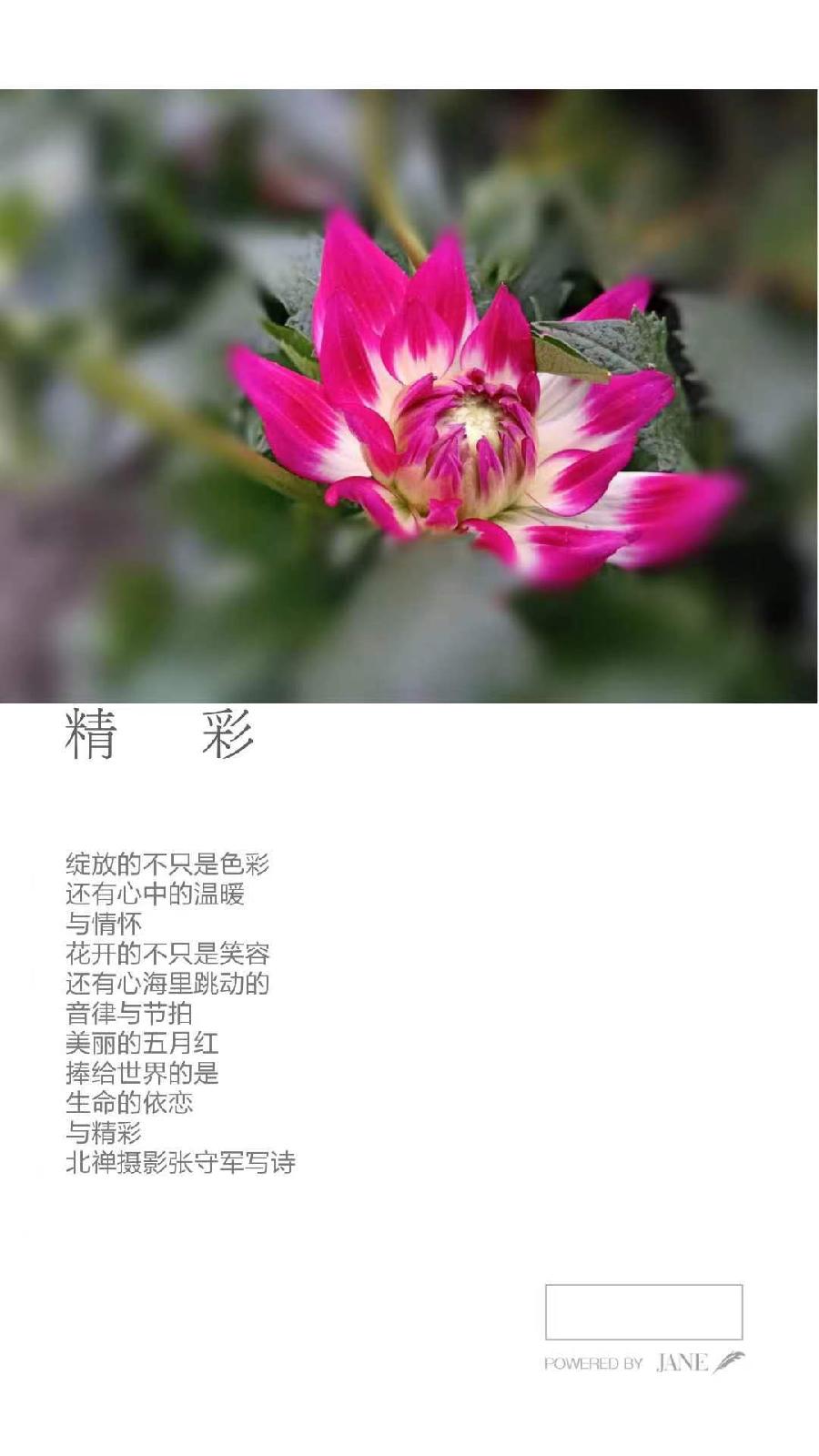 【雅诗总会】构建文化艺术的田园‖张守军诗书画瓷一览(图8)