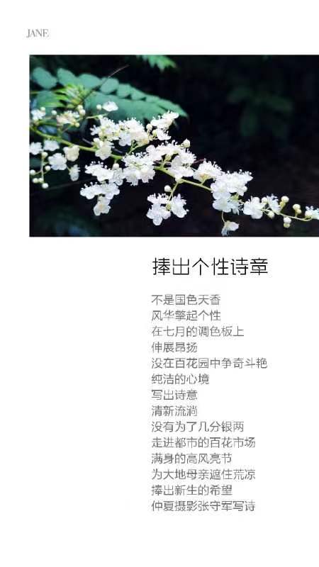【雅诗总会】构建文化艺术的田园‖张守军诗书画瓷一览(图17)