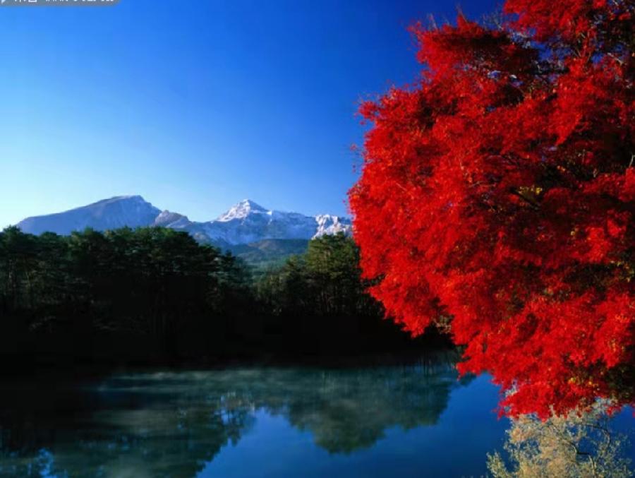 七绝 夕照（外五首）文／张昕（图4）