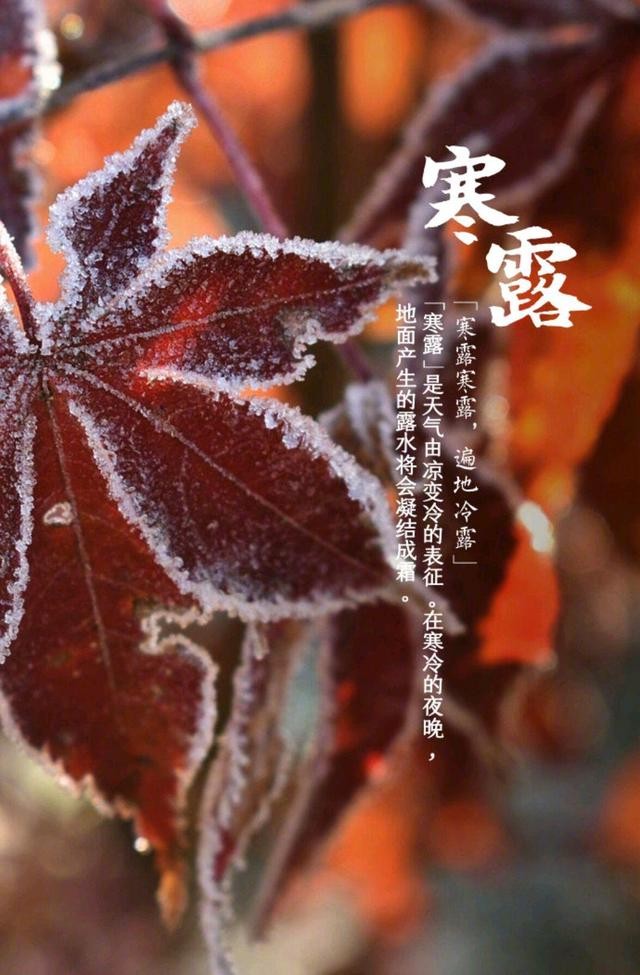 【枫雅汇看图约诗】诗人陈江《185期》(寒露)(图5)