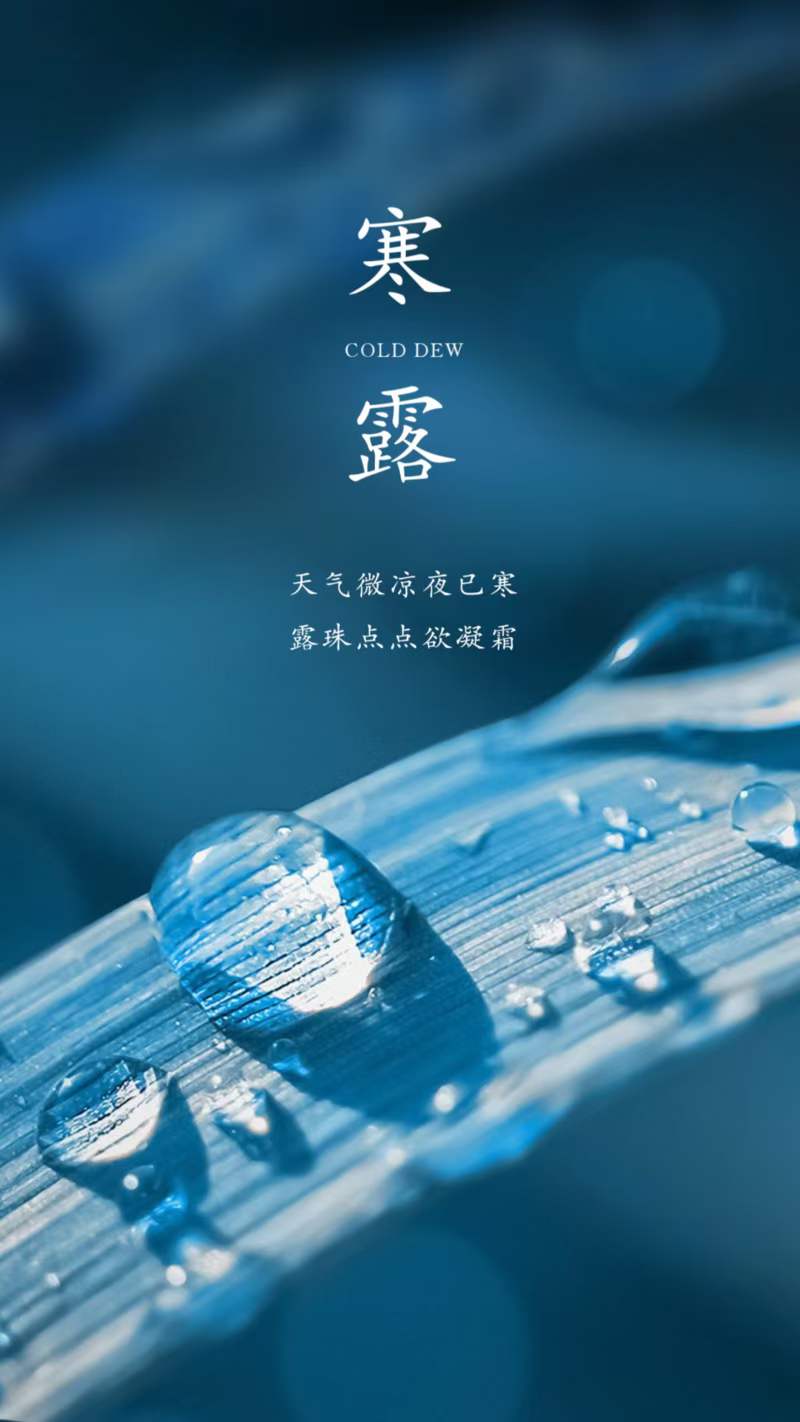 诗人林杨:寒露（图4）