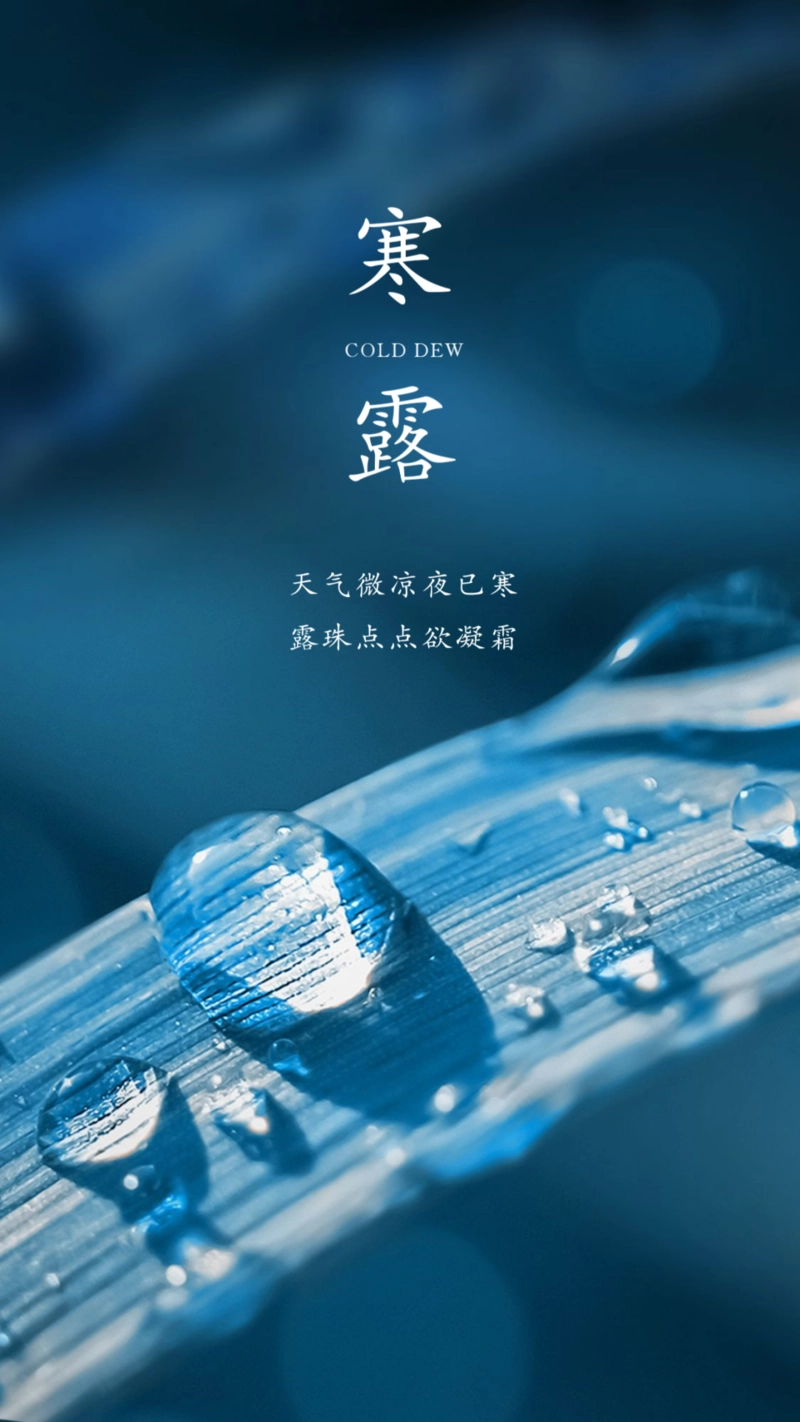 寒 露‖文图/赵京江，书法/太行山人武功（图3）