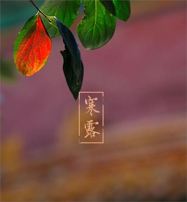 中华诗艺黑龙江分社推介/张祥勤:寒露（图2）