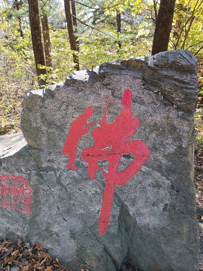 登南楼山 作者孙秀兰雪松（图4）