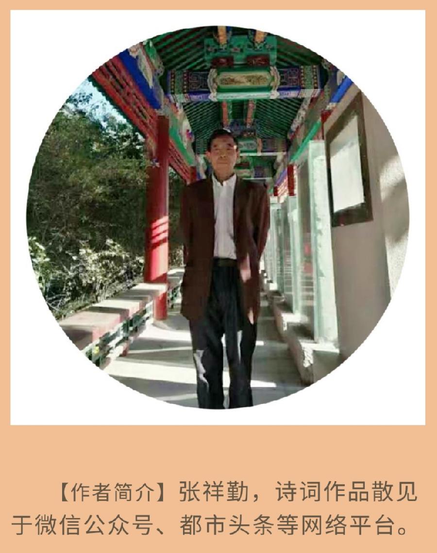 中华诗艺黑龙江分社推介/张祥勤:寒露（图3）