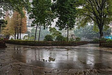 《富有与乞丐》联机全球发布袁华成精品诗歌（图5）