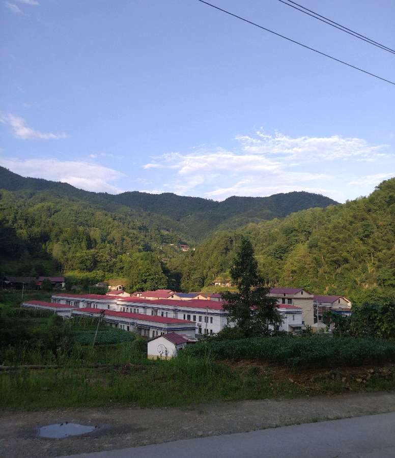 五绝:乡愁《外二首》(图3)