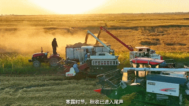 【经典推荐】王清义//七律寒露（图2）