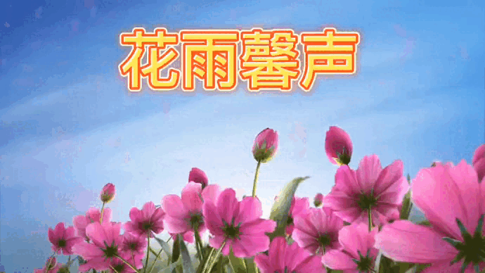 《青鸟老师组诗四首》诵读/瑞雪丰年贝文傲雪红梅冬日艳阳编辑/雨杉【花雨馨声有声文学平台】【第18期】（图8）
