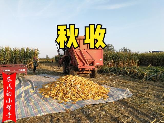 【经典推荐】肖宝利//鹧鸪天•重阳感怀｛二首｝（图3）