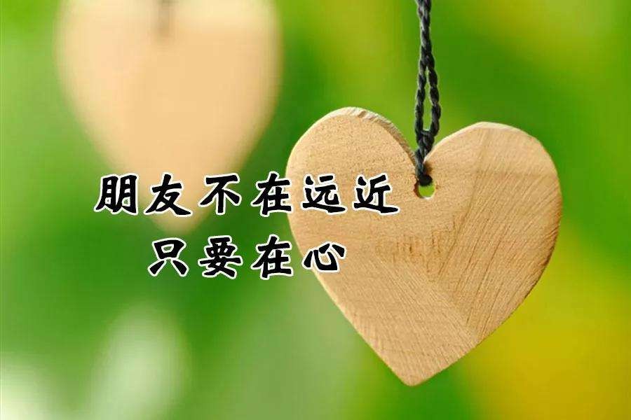 (自由诗)感谢 作者‖陈生(图5)