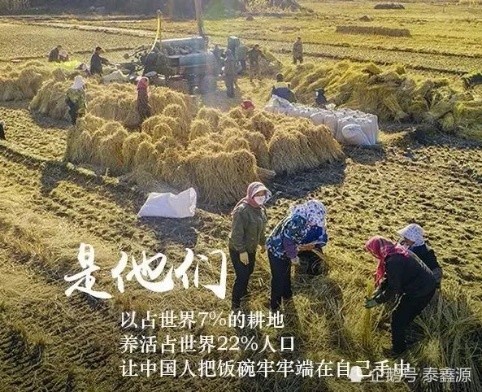 让秋韵永驻心间作者/耿世和 主播/付育清(图5)