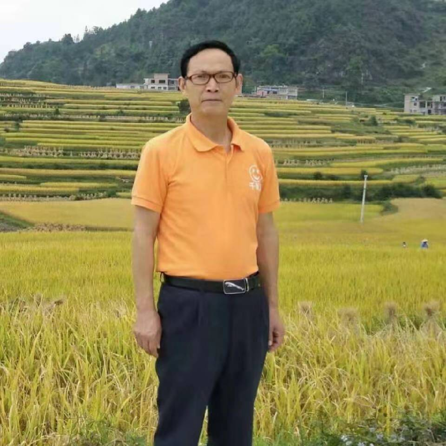 心尘文艺 第693期