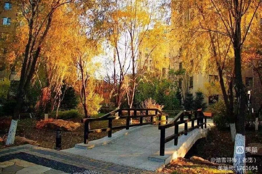 史东茂力作：五律 • 小城秋韵（图10）