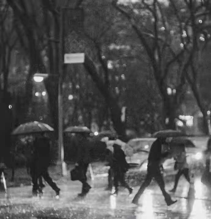 诗人林杨:一场秋雨（图2）