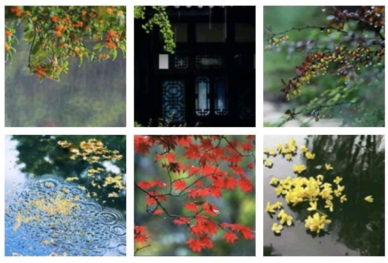 张晓峰（重庆）诗词小辑【冰心文化传媒】（图4）