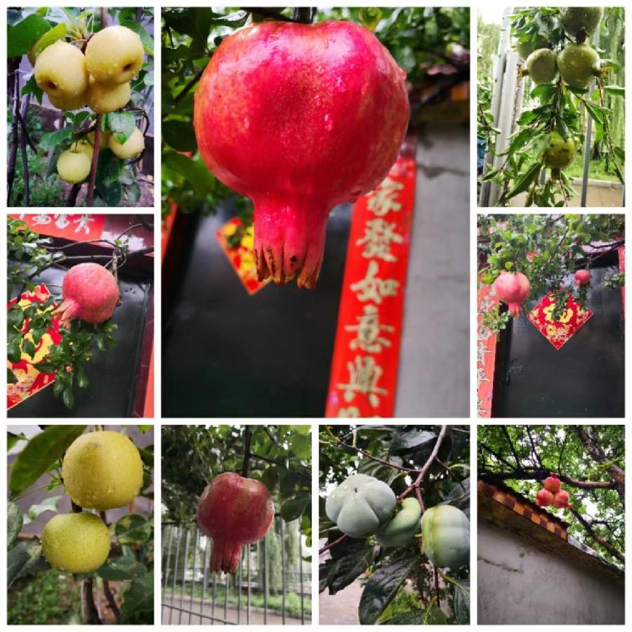 《有声平台》《世界名家》【九江文学社:北京头条】著名艺术家沈志昂先生箴言《智慧人生》金牌主播/叶子(图2)