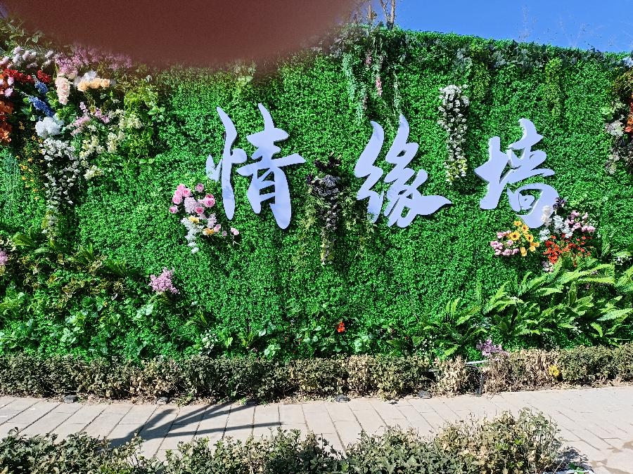 格林海瑟‖文图/赵京江（图14）
