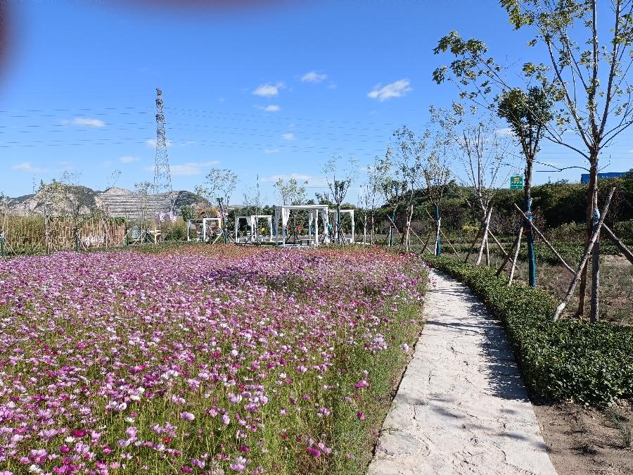 格林海瑟‖文图/赵京江（图12）