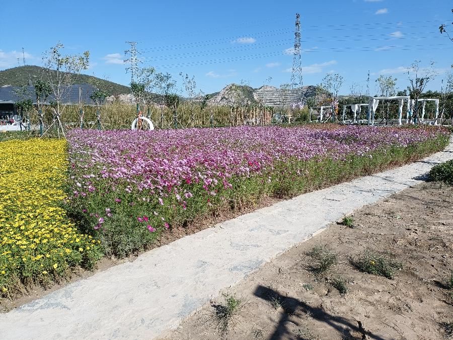 格林海瑟‖文图/赵京江（图9）