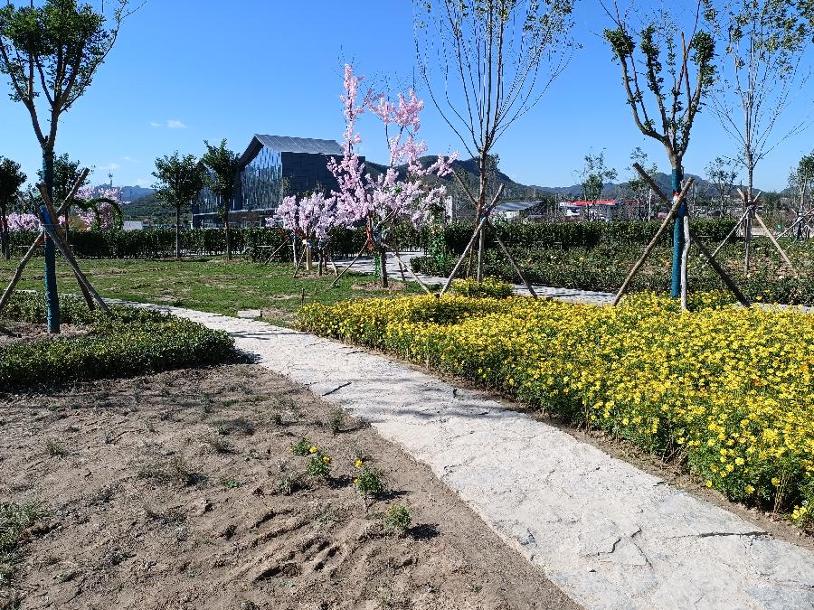 格林海瑟‖文图/赵京江（图10）