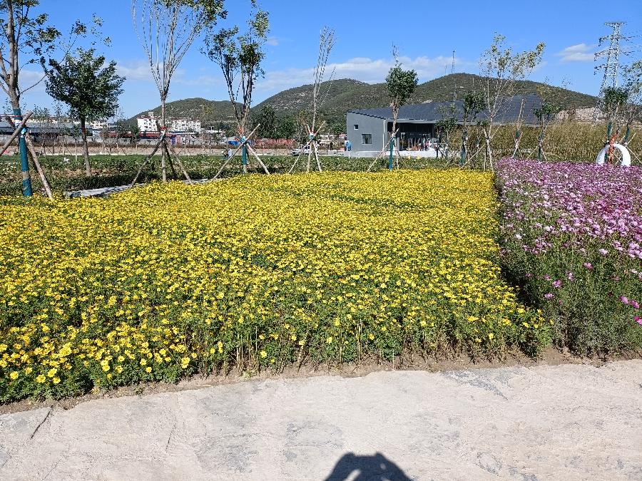 格林海瑟‖文图/赵京江（图8）