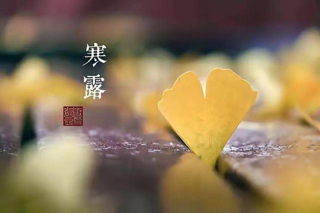 七律•寒露随笔/王慧生（二级警司）
