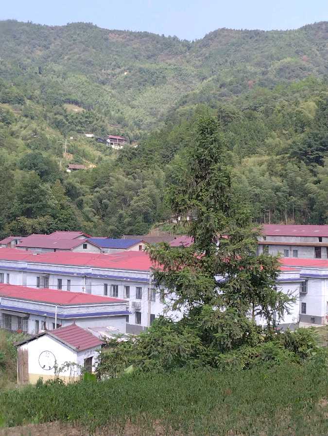 七律：我为家乡赋首诗《10首》（图4）