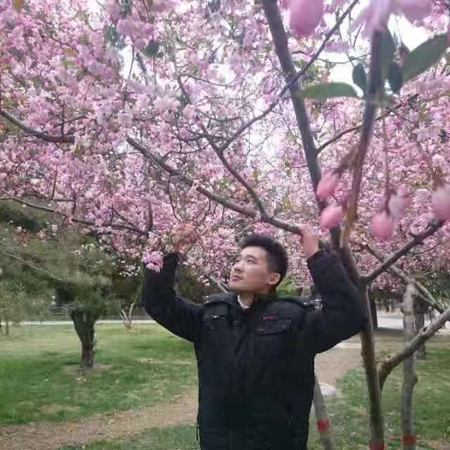 中华诗艺社黑龙江分社推介/沉浮天地,号:石门醉人:《寻找》