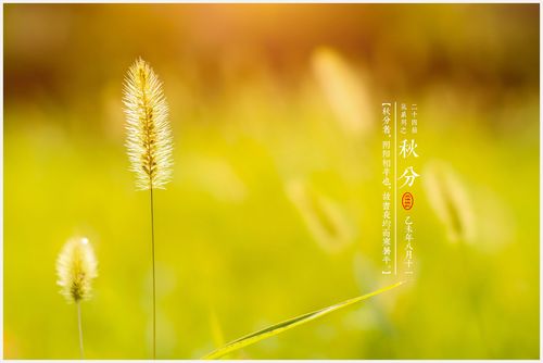 金华八咏诗社蒋昭云老师诗词欣赏(图5)