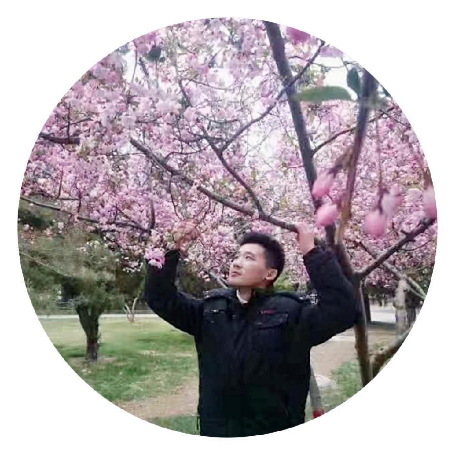 中华诗艺社黑龙江分社推介/沉浮天地,号:石门醉人:《寻找》(图2)