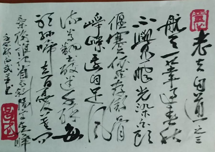 《老夫自道》作者：张昌武（图5）
