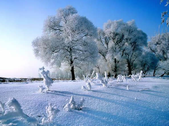 中华诗艺社黑龙江分社推介/李振汉:七绝·深秋雪(外一首)（图2）
