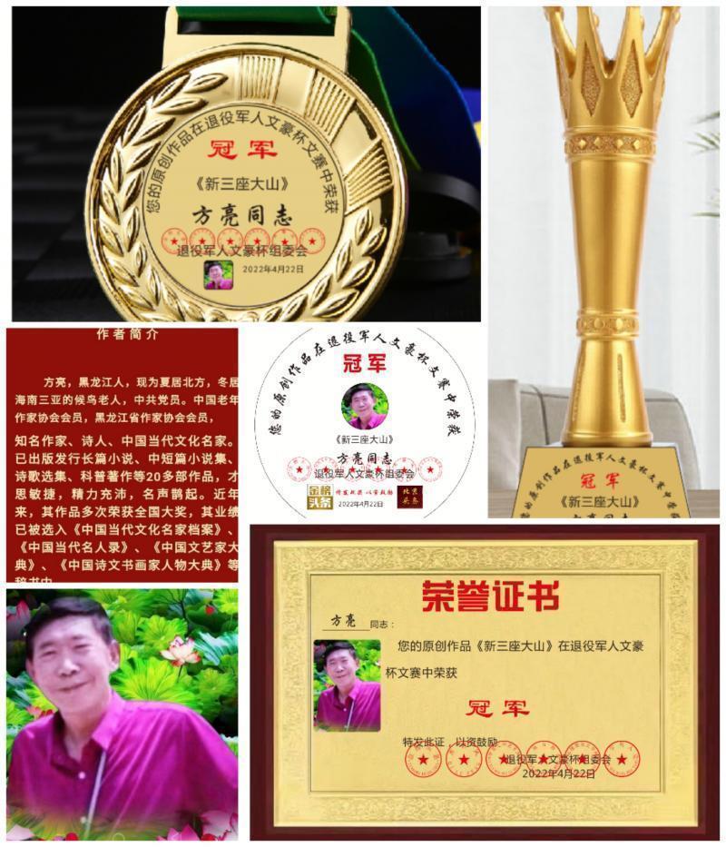 推介优秀诗人方亮老师《瞒天毁海》请关注（图11）