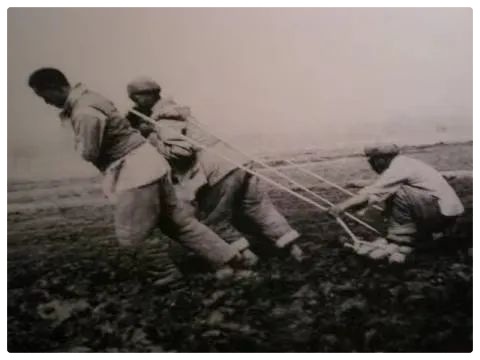 喜迎二十大∥郭曰方《科学之旅》第二章《拓荒者》名家费军 婧暄 晶武 安妮波诵读（图4）