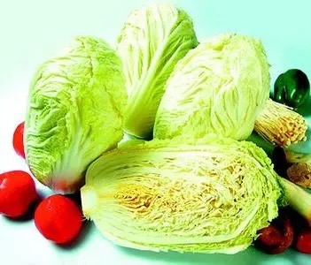 【新诗大观】白菜（外一首）||文/张道发