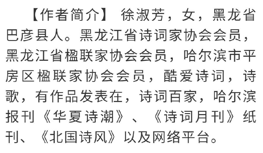 中华诗艺社黑龙江分社推介/徐淑芳:喜迎二十大（新韵）(外一首)（图6）
