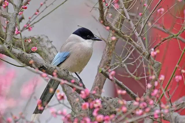 方台钓韵(图3)