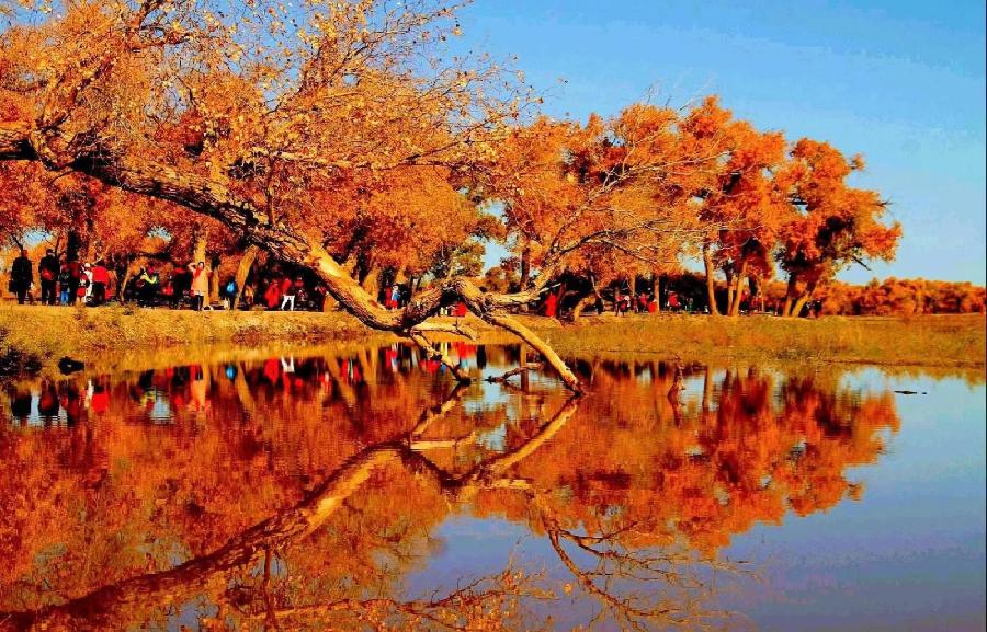 《名家专刊》【九江文学社:北京头条】杨成贵先生箴言精选(图15)
