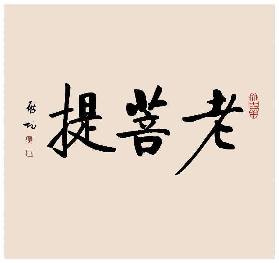 漫步珠海走过银坑∥作者·摄影： 王 砾∥诵读：老菩提（图12）