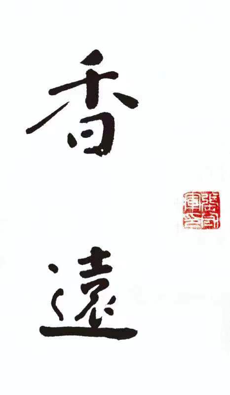 【雅诗总会】墨随心走写出书法的田园张守军书法作品一览(图3)