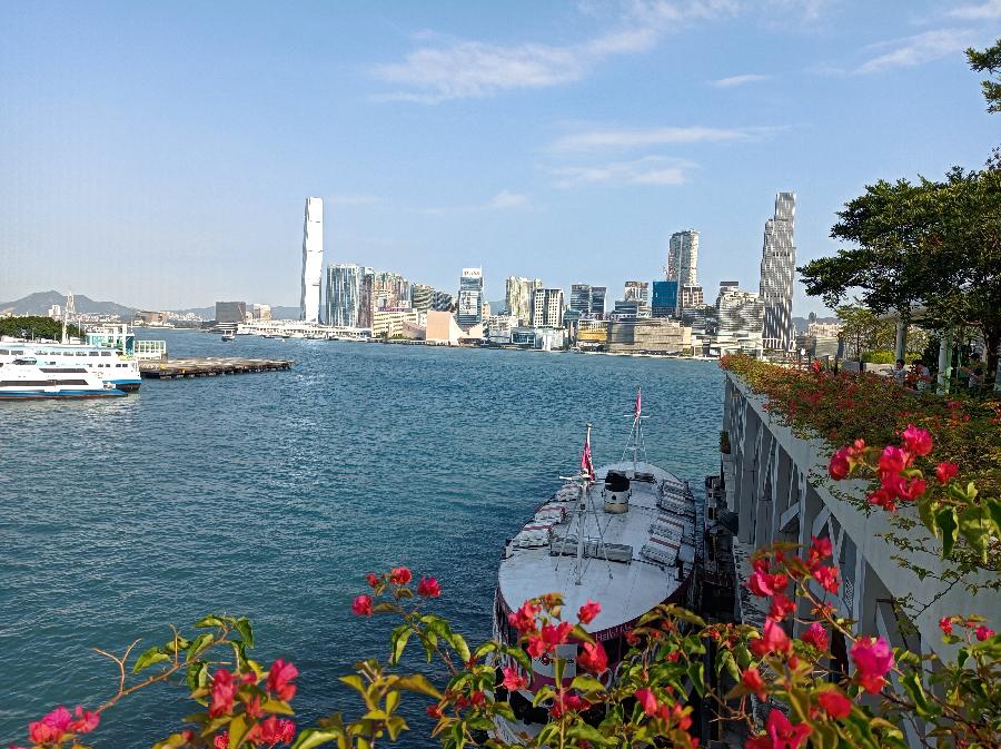 湾仔码头小视频（图4）
