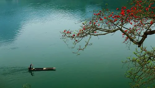 欣赏佳作 《七律·国庆礼赞一壮丽乾坤中国地》外二首作者:梅鹤忘机（图4）