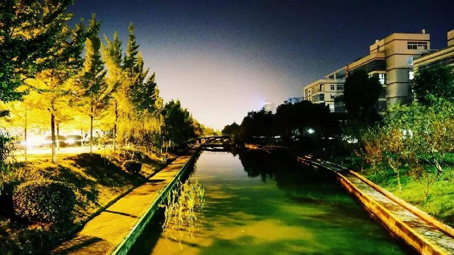 【中国长江文学社】有声文学平台《故乡我的根》作者孙书林/诵读馨睿/制作/宋梅第4541期（图3）