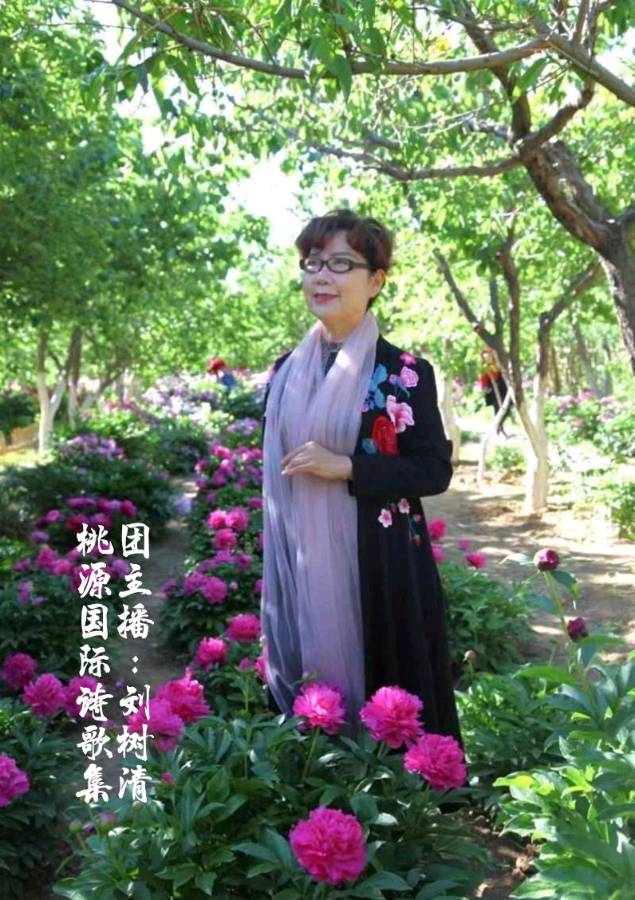 《重阳》作者:风清（辽宁）【主播:金牌主播:刘树清】【桃源国际诗歌集团】[桃源♬ 馨声]（图11）