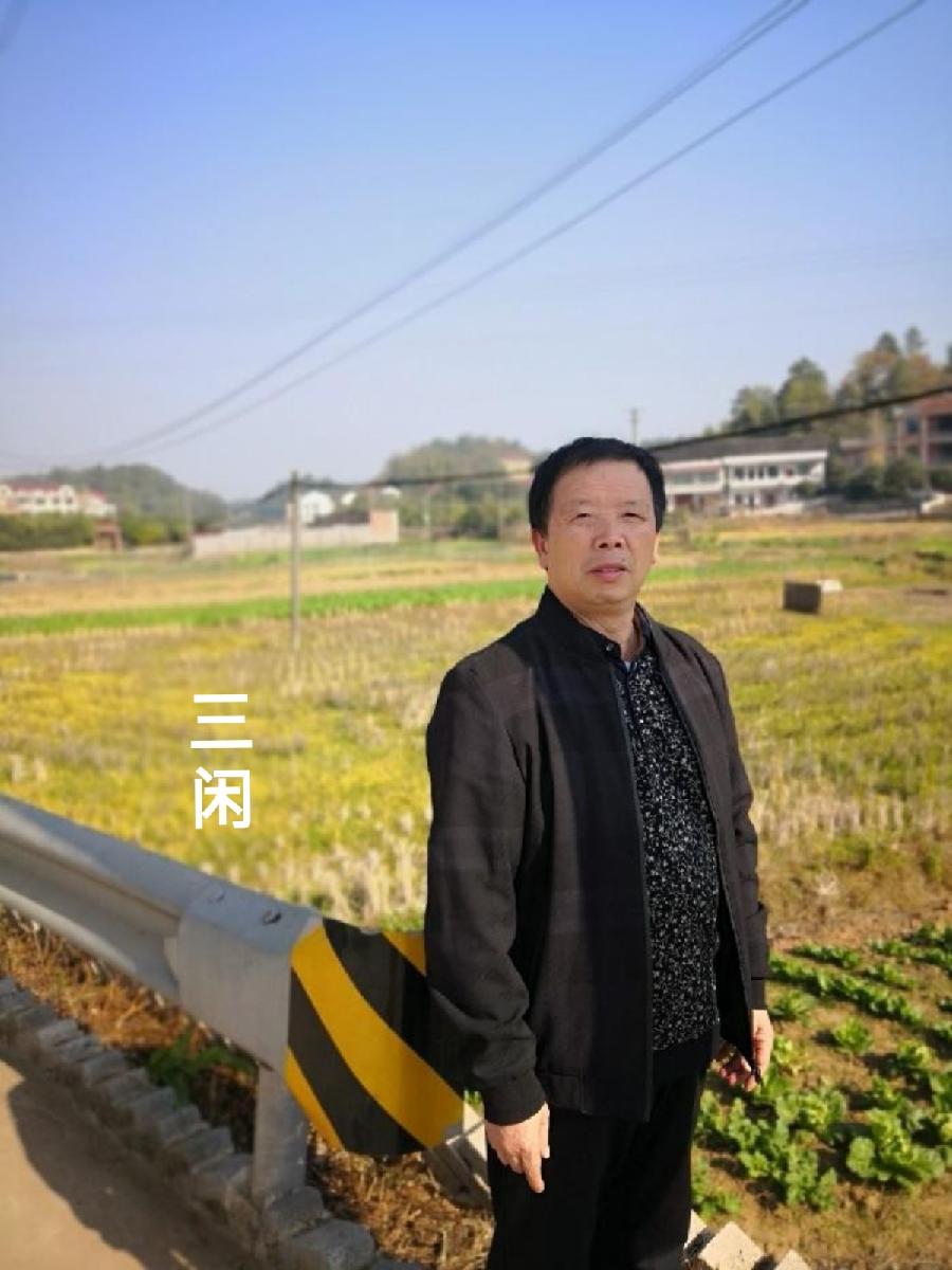 【翰林国粹诗社】才子刊047期(图10)
