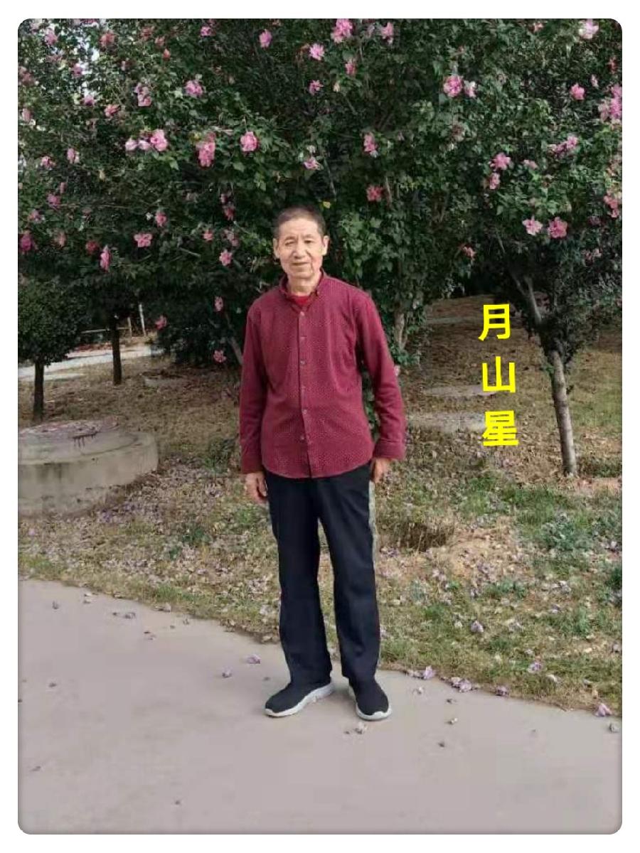 【翰林国粹诗社】才子刊047期(图17)