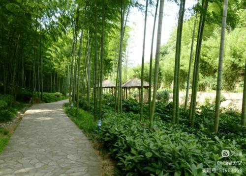 寻美井陉 | 井陉龙王山十二景 | 高海林（图7）