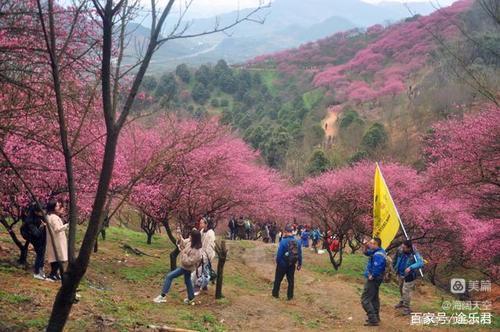 寻美井陉 | 井陉龙王山十二景 | 高海林（图13）