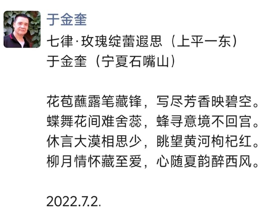 诗人于金奎七律十六首欣赏(2022.7.1—7.16)（图12）